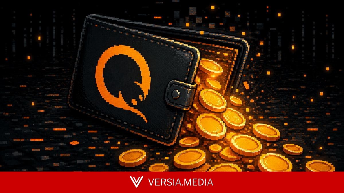 Через кошельки Qiwi за границу вывели 30 млрд рублей