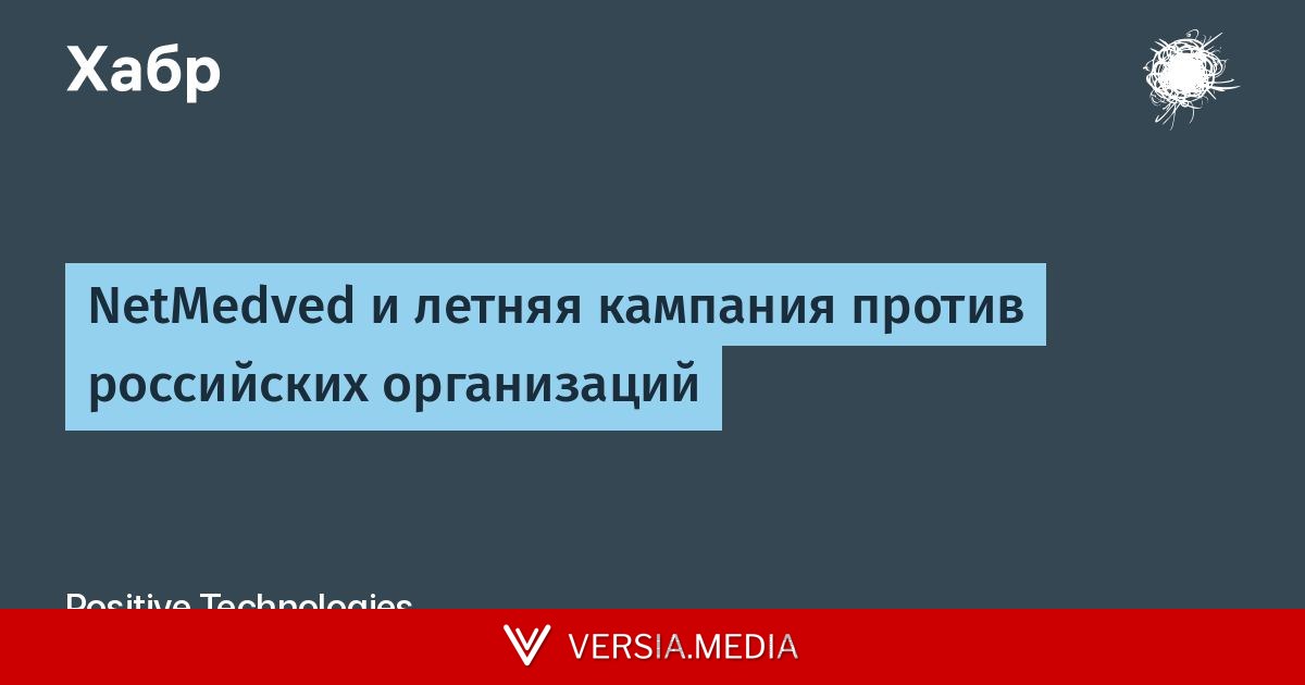 NetMedved и летняя кампания против российских организаций