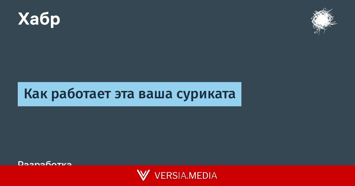 Как работает эта ваша суриката — Cybersecurity | Versia.media